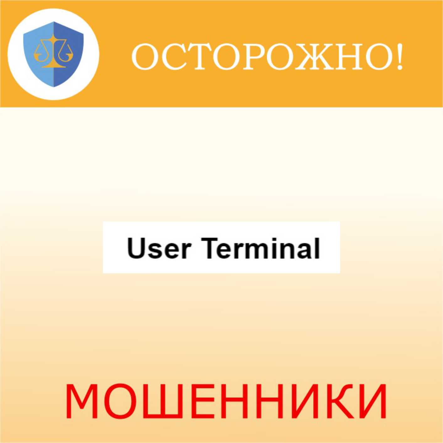 User Terminal