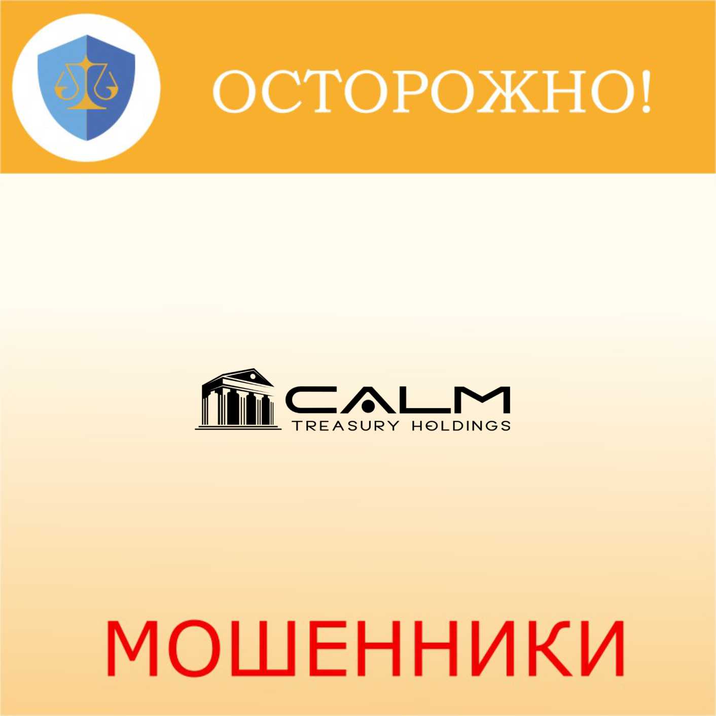 CalmTreasuryHoldings